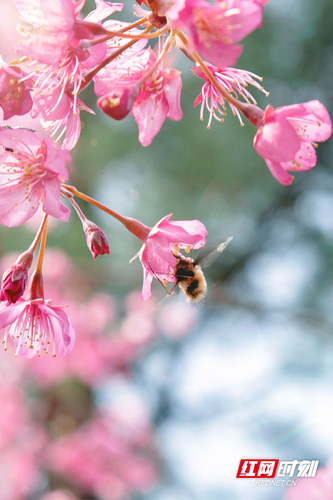 1678843018998-aeftxw7i8