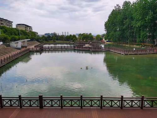 桂园鱼塘 桂园鱼塘