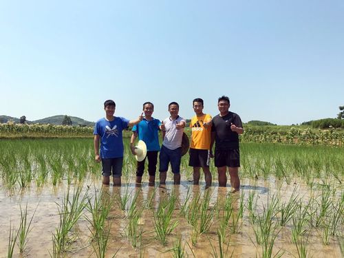 QQ图片20170728183018 QQ图片20170728183018