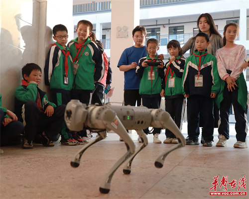 微信图片_20231123175300.jpg 微信图片_20231123175300.jpg